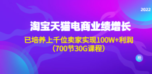 淘系天猫电商业绩增长：已培养上千位卖家实现100W+利润（700节30G课程）