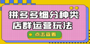 拼多多细分种类店群运营玩法3.0，11月最新玩法，小白也可以操作