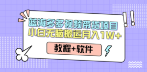 人人都能操作的蓝海多多视频带货项目 小白无脑搬运月入10000+