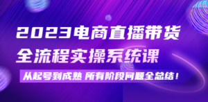 2023电商直播带货全流程实操系统课：从起号到成熟所有阶段问题全总结