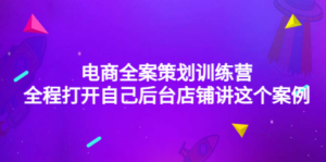 电商全案策划训练营：全程打开自己后台店铺讲这个案例