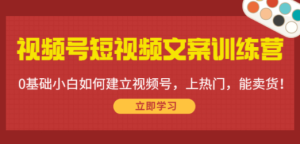 视频号短视频文案训练营：0基础小白如何建立视频号，上热门，能卖货