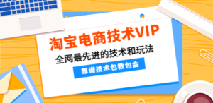 淘宝电商技术VIP，全网最先进的技术和玩法，靠谱技术包教包会（