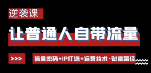 让普通人自带流量的逆袭课：流量密码+IP打造+运营技术·财富路径