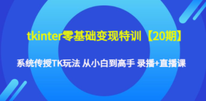 tkinter零基础变现特训【20期】系统传授TK玩法 从小白到高手 录播+直播课