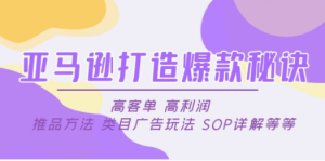 亚马逊打造爆款秘诀：高客单 高利润 推品方法 类目广告玩法 SOP详解