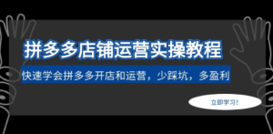 拼多多店铺运营实操教程：快速学会拼多多开店和运营，少踩坑，多盈利