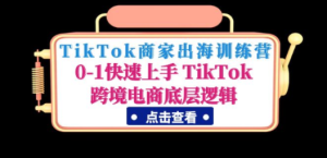 ikTok商家出海训练营：0-1快速上手 TikTok跨境电商底层逻辑