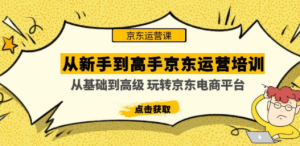 从新手到高手京东运营培训：从基础到高级 玩转京东电商平台