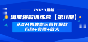 淘宝爆款训练营【第11期】 从0开始教你运营打爆款，方向+实操+放大