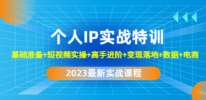 2023个人IP实战特训：基础准备+短视频实操+高手进阶+变现落地+数据+电商