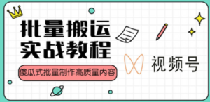 视频号批量搬运实战赚钱教程，傻瓜式批量制作高质量内容【附视频教程+PPT】 ...