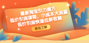 最新淘宝引力魔方低价引流实操：小成本大流量，低价引流快速拉新收割