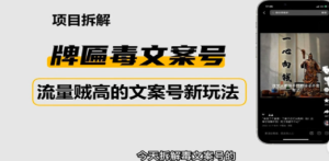 2023抖音快手毒文案新玩法，牌匾文案号，起号快易变现