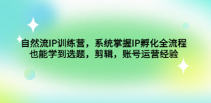 自然流IP训练营，系统掌握IP孵化全流程，也能学到选题，剪辑，账号运营经验 ...