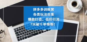 拼多多训练营：各玩法合集，爆款打造，低价引流，7天破千单等等