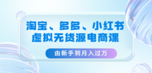 淘宝、多多、小红书-虚拟无货源电商课：由新手到月入过万（3套课程）