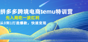 拼多多跨境电商temu特训营：先入局吃一波红利，从0到1打造爆款，快速变现