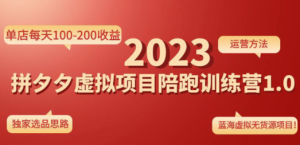 《拼夕夕虚拟项目陪跑训练营1.0》单店每天100-200收益 独家选品思路和运营