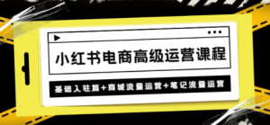 红书电商高级运营课程：基础入驻篇+商城流量运营+笔记流量运营