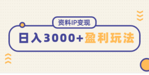 资料IP变现，能稳定日赚3000起的持续性盈利玩法