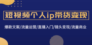 短视频个人ip带货变现：爆款文案/流量运营/直播入门/镜头变现/流量商业