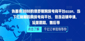 俄罗斯跨境电商平台ozon运营，包含店铺申请，运营思路，售后等