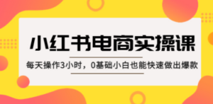 小红书·电商实操课：每天操作3小时，0基础小白也能快速做出爆款