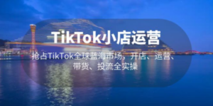 TikTok小店运营 抢占TikTok全球蓝海市场，开店、运营、带货、投流全实操