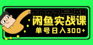 闲鱼项目：2023最新闲鱼实战课，单号日入300+（7节课）