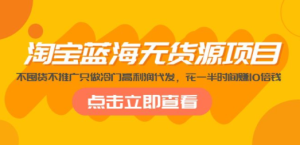 淘宝蓝海无货源项目，不囤货不推广只做冷门高利润代发，花一半时间赚10倍钱 ...