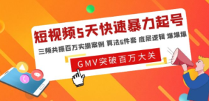 短视频5天快速暴力起号，三频共振百万实操案例 算法6件套 底层逻辑 爆爆爆 ...