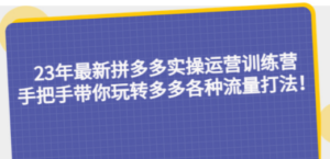 23年最新拼多多实操运营训练营：手把手带你玩转多多各种流量打法