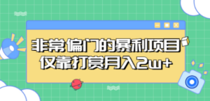 非常偏门的暴利项目，仅靠打赏月入2w+