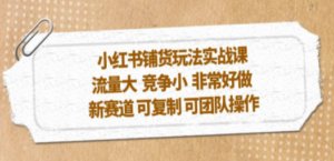 小红书铺货玩法实战课，流量大 竞争小 非常好做 新赛道 可复制 可团队操作 ...