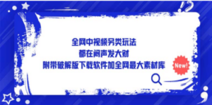 全网中视频另类玩法，都在闷声发大财，附带破解版下载软件加全网最大素材库 ...