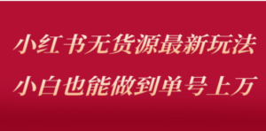 小红书无货源最新螺旋起号玩法，电商小白也能做到单号上万（收费3980）