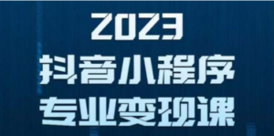 抖音小程序变现保姆级教程：0粉丝新号 无需实名 3天起号 第1条视频就有收入 ...