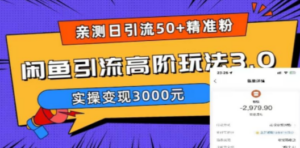 实测日引50+精准粉，闲鱼引流高阶玩法3.0，实操变现3000元