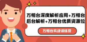 万相台实战训练课：万相台深度解析应用+万相台后台解析+万相台优质资源位 ...