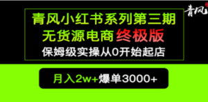 小红书无货源电商爆单终极版【视频教程+实战手册】保姆级实操从0起店爆单 ...