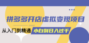 拼多多开店虚拟变现项目：入门到精通 从小白到日入1000（完整版）6月13更新 ...