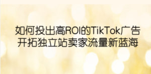 如何投出高ROI·TikTok广告，开拓独立站卖家流量新蓝海