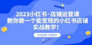 2023小红书·店铺运营课，教你做一个能变现的小红书店铺，20节-实战教学