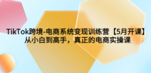 TikTok跨境-电商系统变现训练营【5月新课】从小白到高手，真正的电商实操课 ...