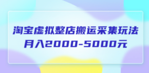 淘宝虚拟整店搬运采集玩法分享课：月入2000-5000元（5节课）