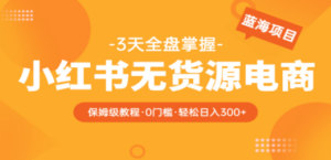 2023小红书无货源电商【保姆级教程从0到日入300】爆单3W