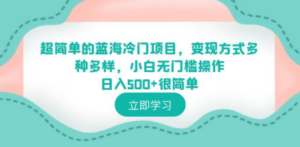 超简单的蓝海冷门项目，变现方式多种多样，小白无门槛操作日入500+很简单