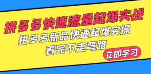 拼多多-快速流量起爆实战，拼多多新品快速起爆实操，看完不走弯路