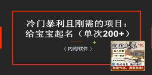 【新课】冷门暴利项目：给宝宝起名（一单200+）内附教程+工具